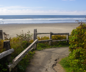 Sandy beach along the Washington state coastline