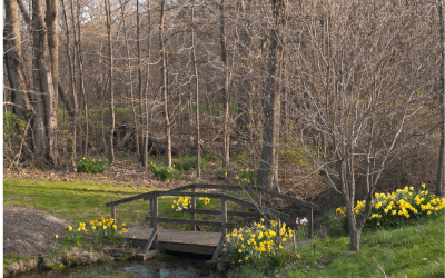 If You Feel Like Quitting