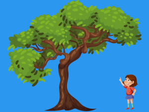 Large tree with child looking up at it